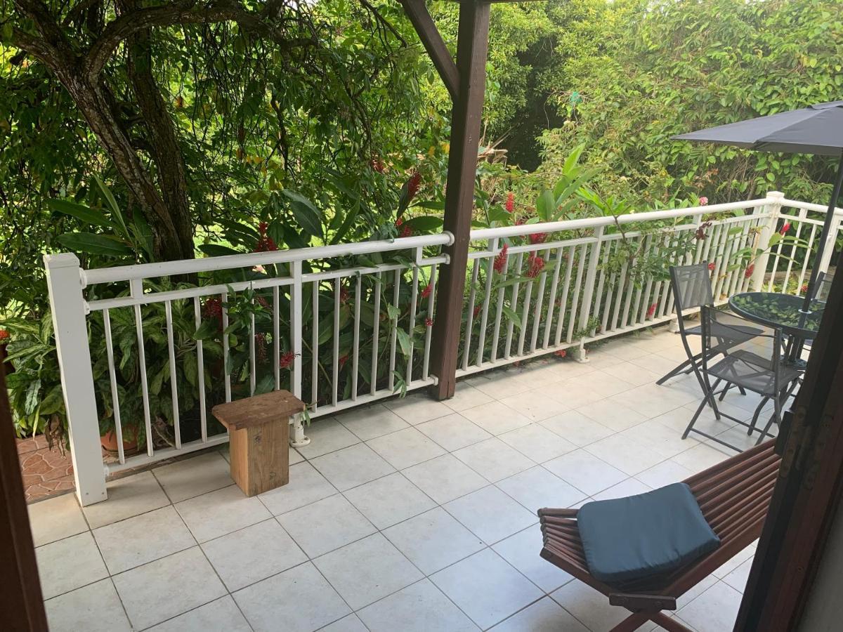 Logement Vacances Gissac Sainte-Anne Exteriör bild